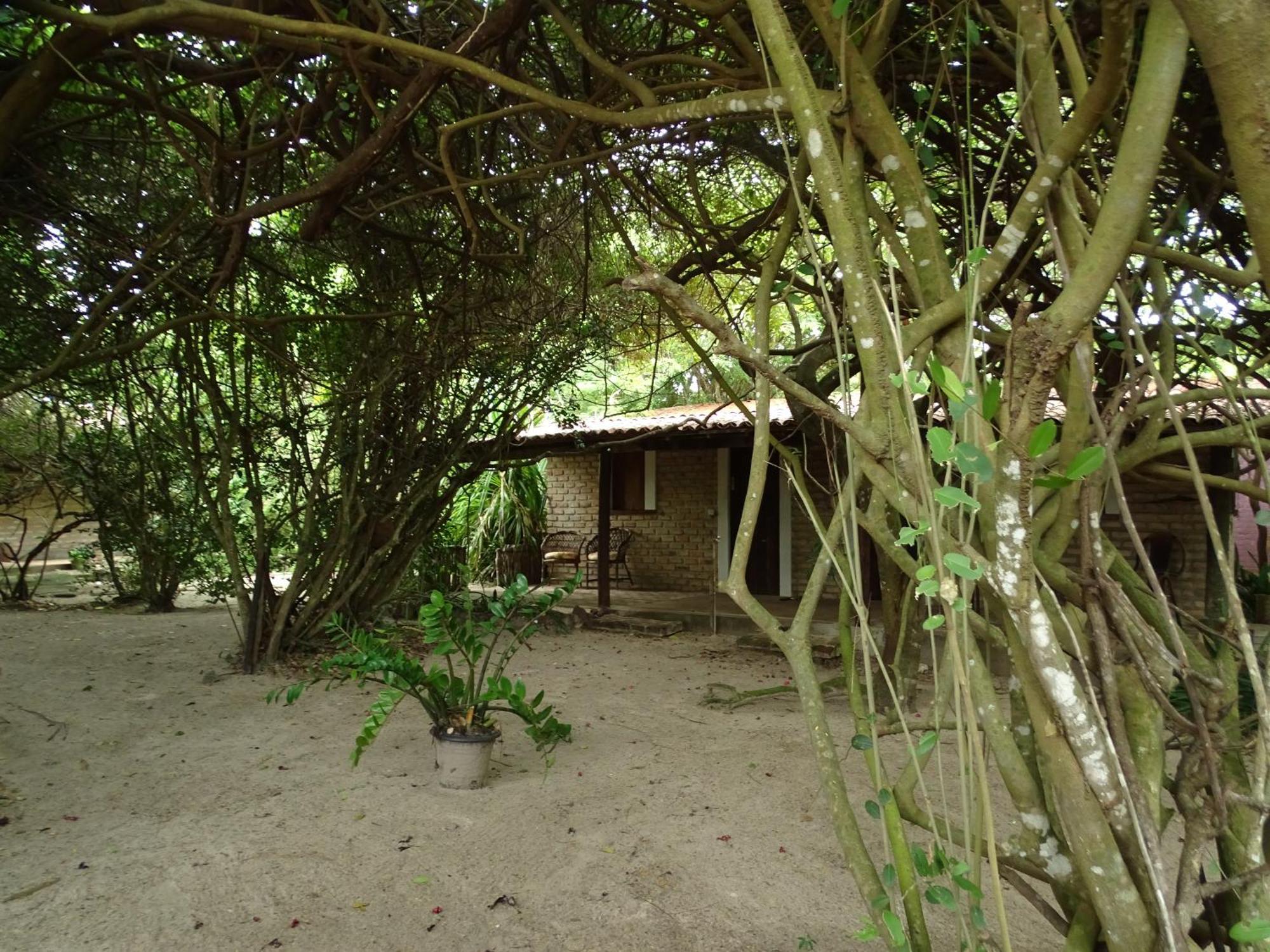 Hotel Jungle House São Miguel do Gostoso Exterior foto